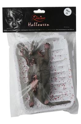 RATTO E TOPI IN PLASTICA