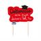 CAKE TOPPER SAGOMATO DOTTORESSA