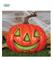 ZUCCA HALLOWEEN 20CM CON LUCE