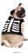 COSTUME SCHELETRO CANE TAGLIA S