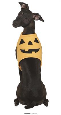 COSTUME ZUCCA CANE TAGLIA M