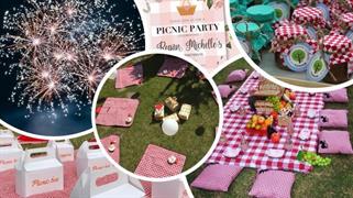 Pocket Party - Pic-nic party