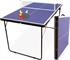 NOLEGGIO MINI TAVOLO PING PONG