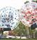 NOLEGGIO BUMPER BALL PER ADULTI